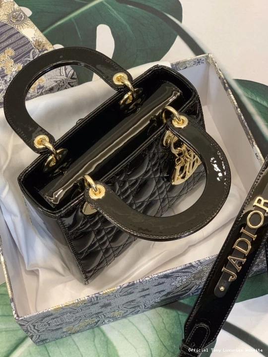 Tony Luxuries BAG-20CM LADY diro MY ABCdiro 0807
